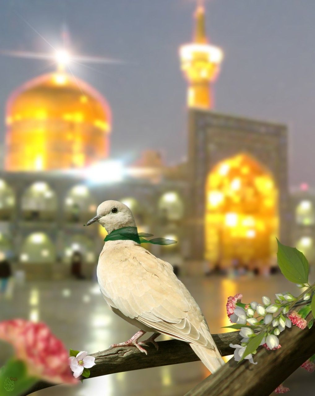 في ذكرى مولد النبي.. أجمل 10 رسائل وصور تهنئة بالمولد النبوي الشريف للأهل والأصدقاء