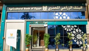 شهادة الحصاد من البنك الزراعي المصري بعائد يصل إلى 17% بعد قرار المركزي
