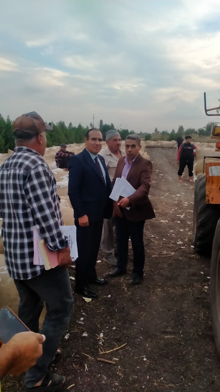 القطن في الشرقية.. ضبط شونة تخزين بدون ترخيص