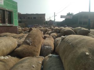 القطن في الشرقية.. ضبط شونة تخزين بدون ترخيص