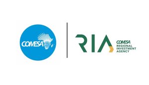 الكوميسا: صفقة «رأس الحكمة» تقفز بالتدفقات الاستثمارية الأجنبية لدول التجمع الأفريقي بأكثر من 154% إلى 65 مليار دولار في 2024