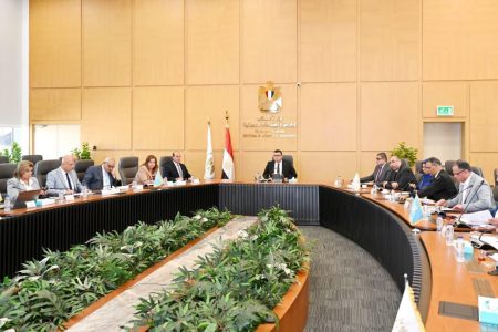   الموقف التنفيذي لوحدات المبادرة الرئاسية "سكن لكل المصريين 2025..وزير الإسكان يوضح