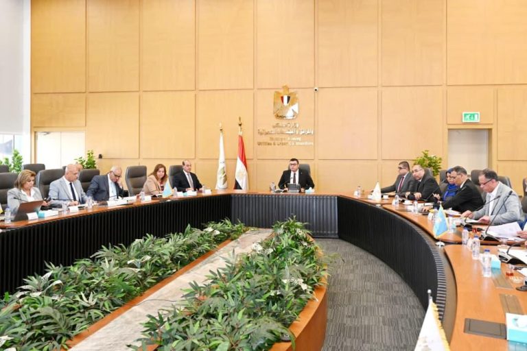   الموقف التنفيذي لوحدات المبادرة الرئاسية "سكن لكل المصريين 2025..وزير الإسكان يوضح