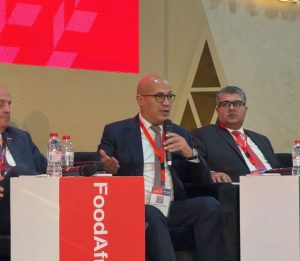 نائب التصديري للحاصلات الزراعية: القيمة المضافة هي سر التنافسية في الأسواق العالمية هشام النجار نائب رئيس المجلس التصديري للحاصلات الزراعية