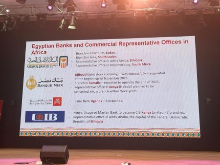 مؤتمر اقتصادي مصري–إفريقي يرسخ شراكات جديدة بدعم البنك المركزي المصري مؤتمر اقتصادي مصري–إفريقي يرسخ شراكات جديدة بدعم البنك المركزي المصري