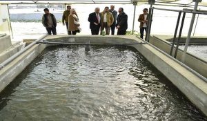 ترخيص مزرعة سمكية، النافذة الإخبارية