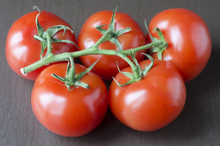 أسعار الطماطم قبل رمضان.. تكهنات بتكرار سيناريو العام الماضي والزراعة تكشف الأسباب