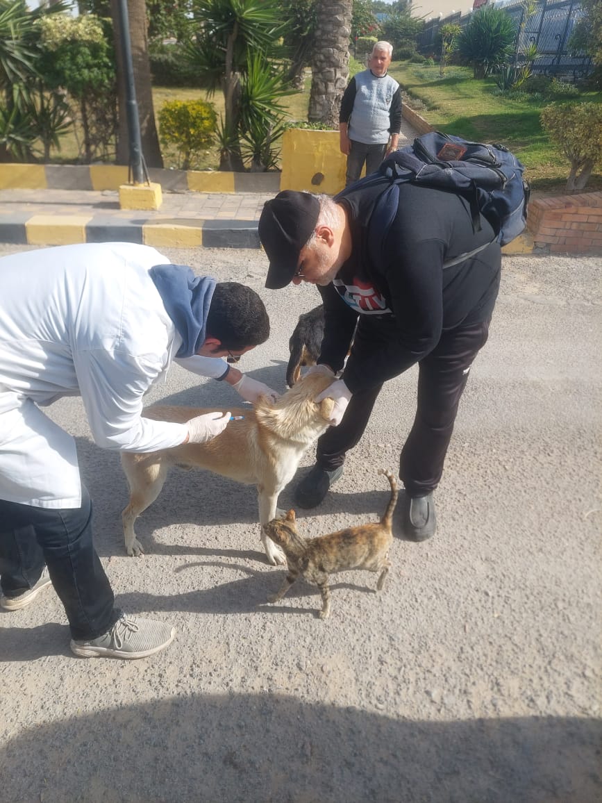الزراعة تطلق حملة قومية ضد الحمى القلاعية وتوسع تحصين وتعقيم كلاب الشوارع