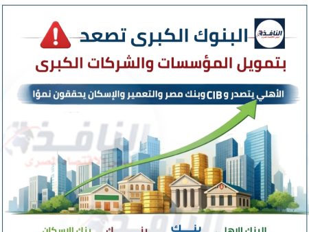 جراف تحليلي | ترتيب أداء أكبر 4 بنوك حكومية وخاصة في تمويل الشركات الكبرى والقروض الموجهة للمؤسسات