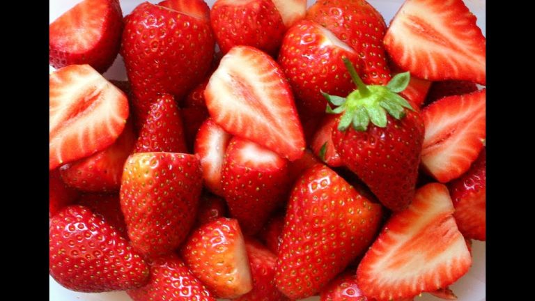 عاجل| السوق الأوزبكي يطلب الفراولة المصرية الطازجة.. نجاح زراعى جديد عاجل| السوق الأوزبكي يطلب الفراولة المصرية الطازجة.. نجاح زراعى جديد