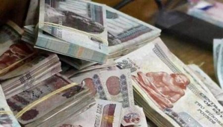 شهادة ابن مصر، النافذة الإخبارية