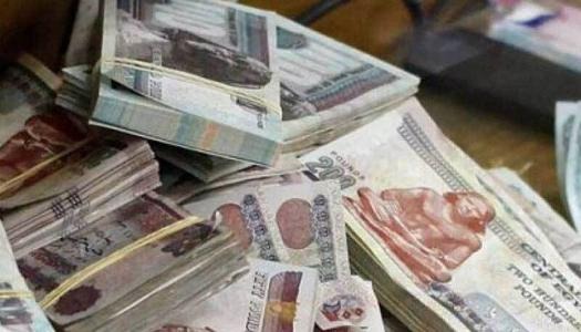 شهادة ابن مصر، النافذة الإخبارية