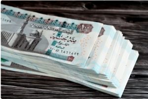 شهادة الخير، النافذة الإخبارية