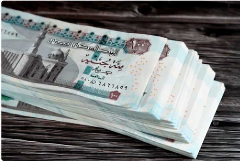 شهادة الخير، النافذة الإخبارية