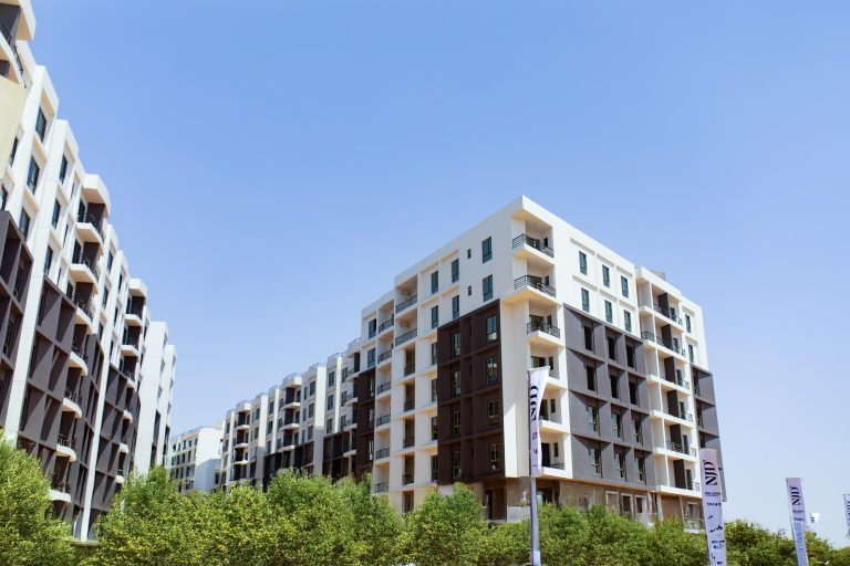 مشروعات نيو جيرسي للتطوير، النافذة