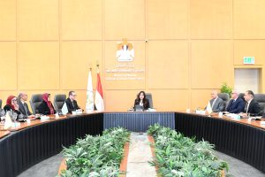 وزيرة الإسكان توجه بتسريع وتيرة تقنين الأراضي بـ 6 مدن جديدة وتذليل العقبات أمام المواطنين اجتماع وزيرة الإسكان، النافذة