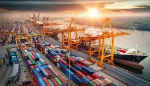 الجمارك، النافذة الإخبارية