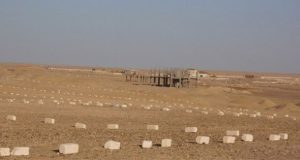 العبور الجديدة، النافذة الإخبارية