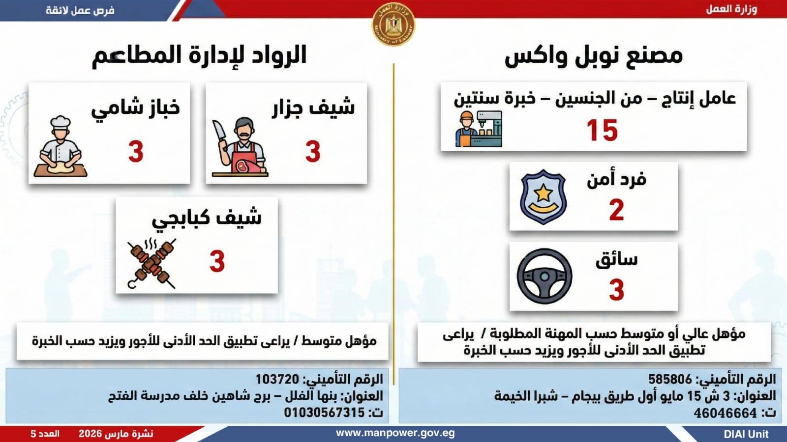 وزارة العمل تعلن 5188 وظيفة بـ 11 محافظة