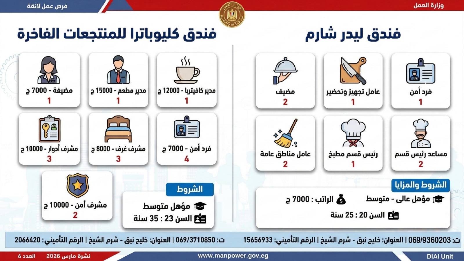 طريقك نحو المستقبل.. كيف تقتنص نصيبك من 4435 فرصة عمل أطلقتها وزارة العمل في 7 محافظات؟
