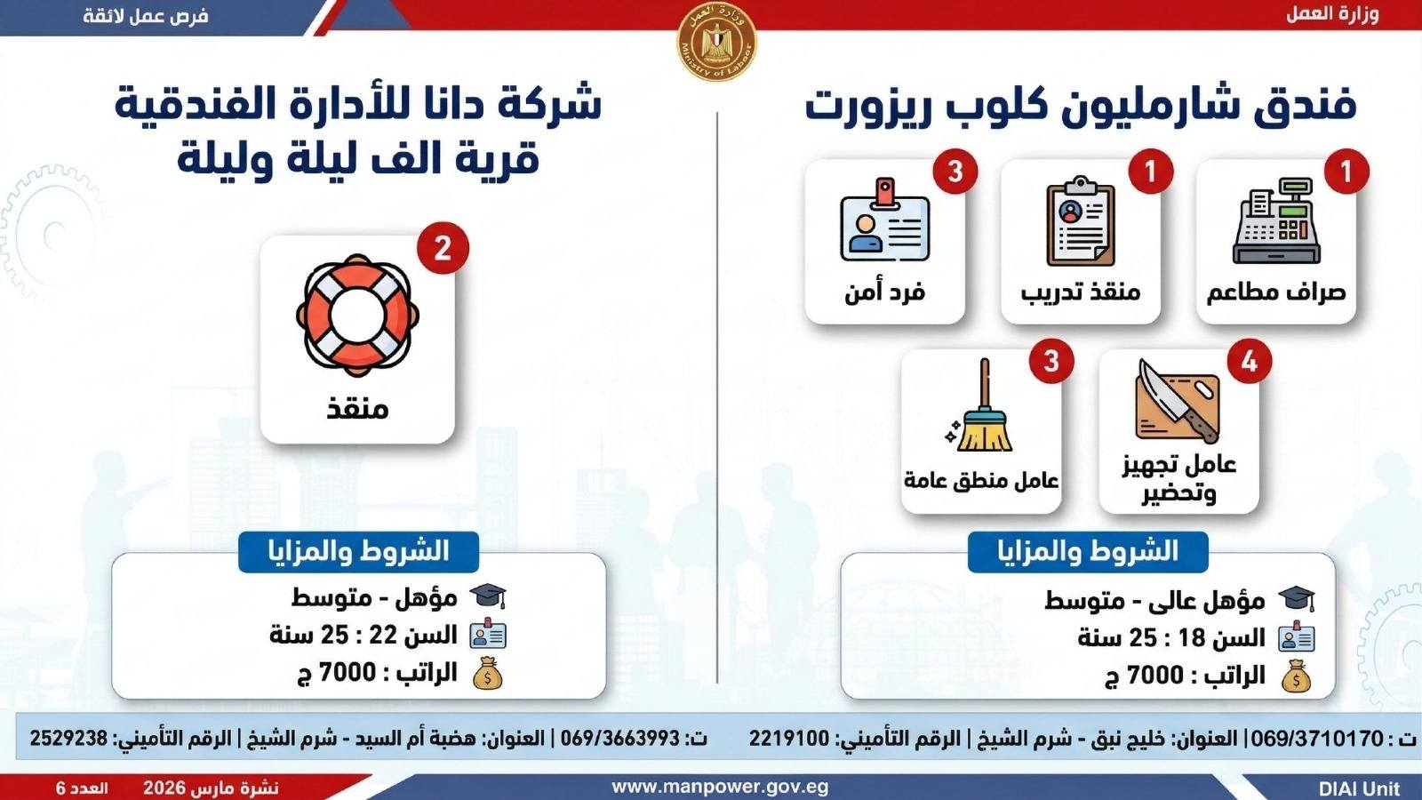 طريقك نحو المستقبل.. كيف تقتنص نصيبك من 4435 فرصة عمل أطلقتها وزارة العمل في 7 محافظات؟