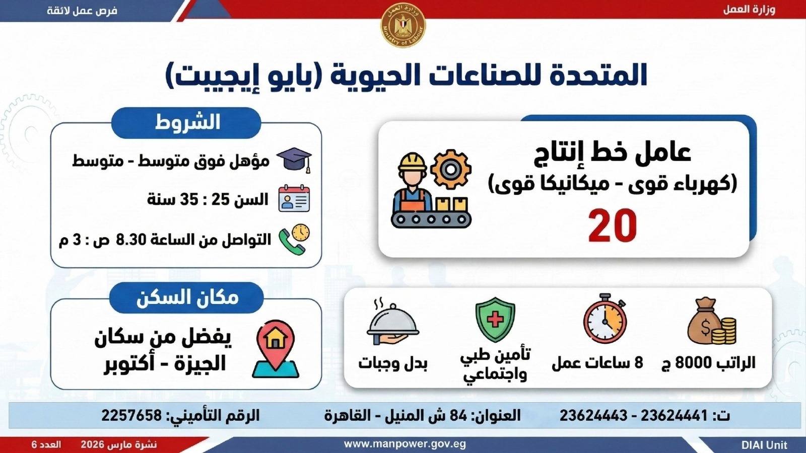 طريقك نحو المستقبل.. كيف تقتنص نصيبك من 4435 فرصة عمل أطلقتها وزارة العمل في 7 محافظات؟