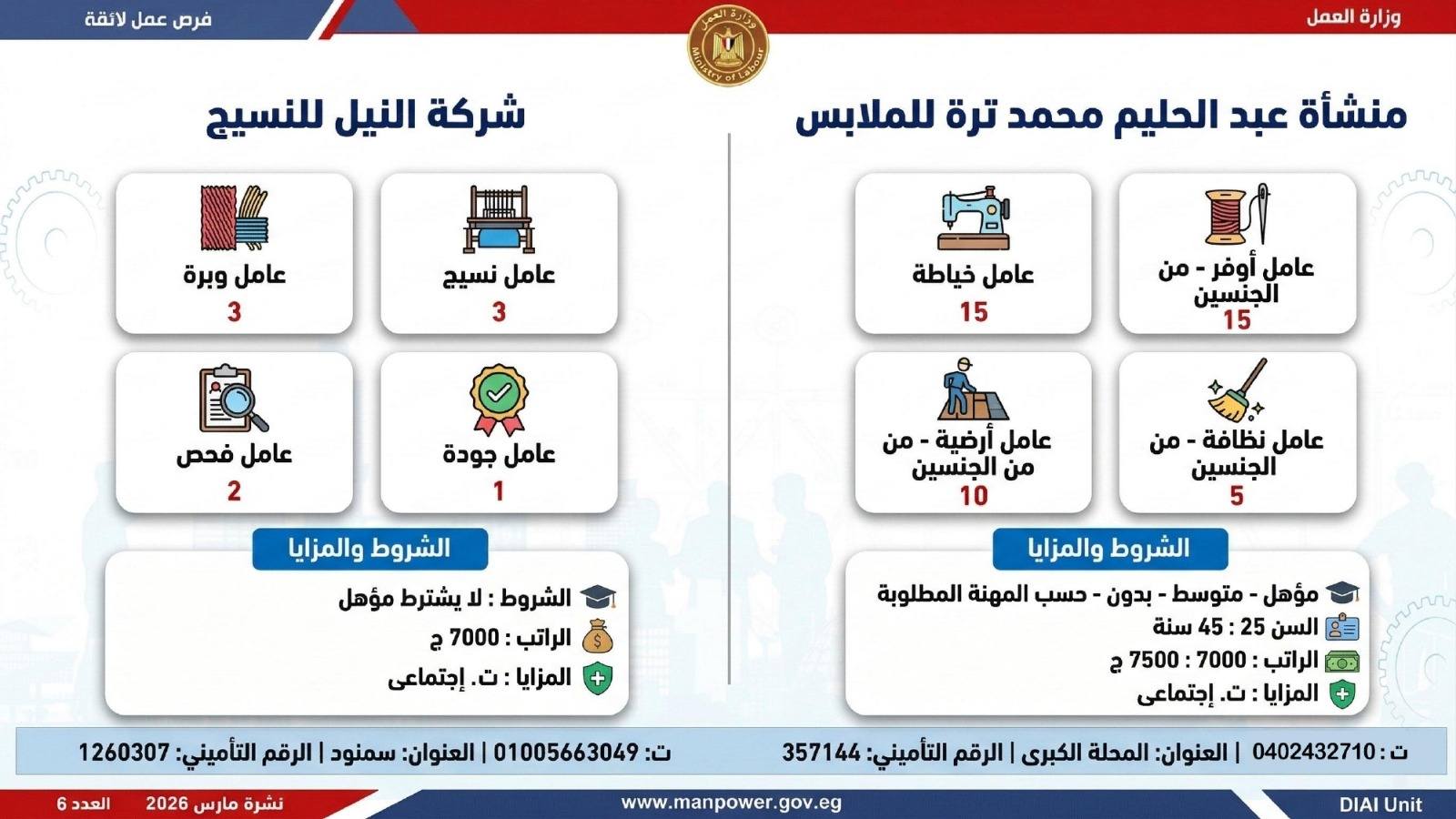 طريقك نحو المستقبل.. كيف تقتنص نصيبك من 4435 فرصة عمل أطلقتها وزارة العمل في 7 محافظات؟