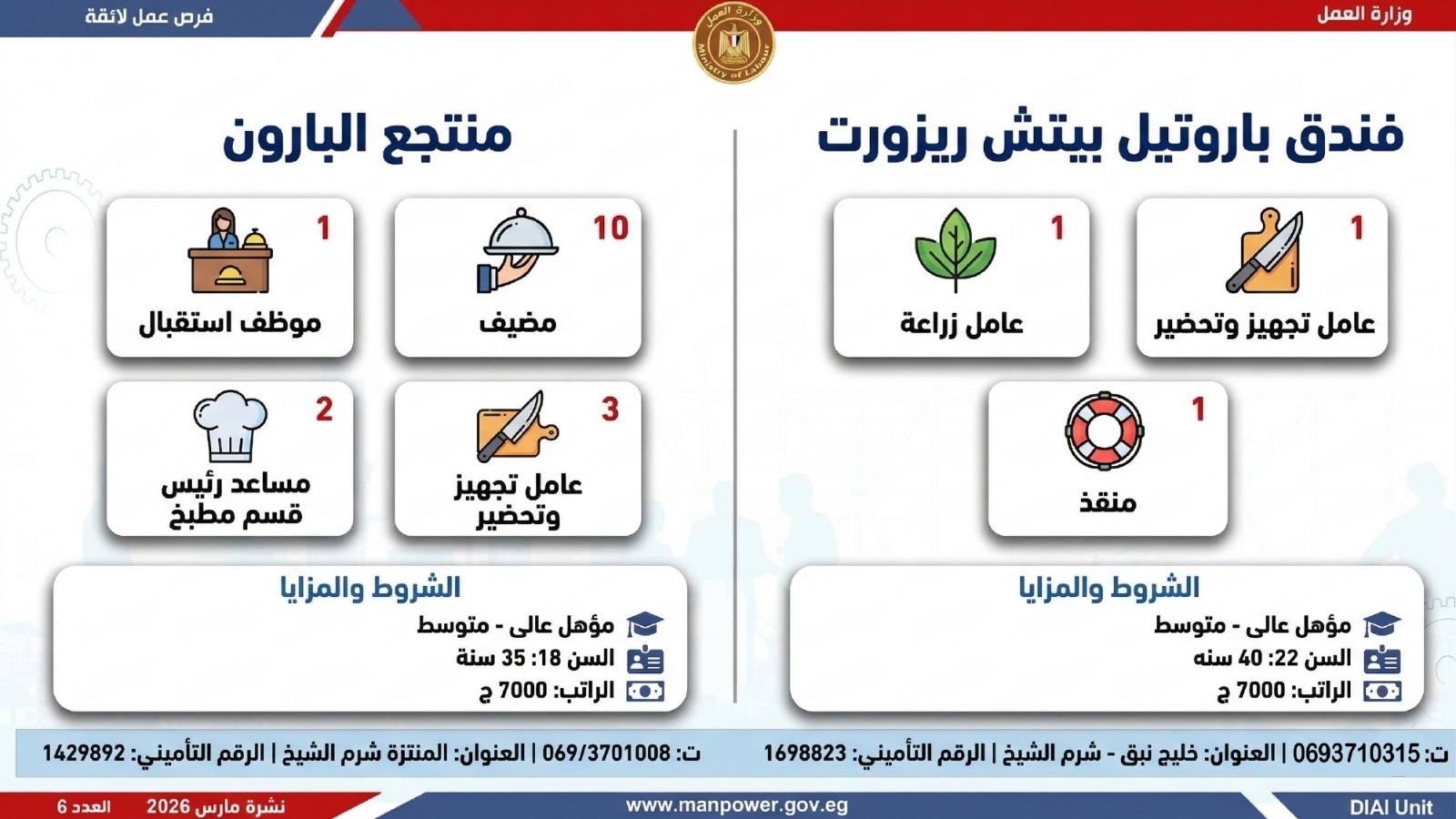 طريقك نحو المستقبل.. كيف تقتنص نصيبك من 4435 فرصة عمل أطلقتها وزارة العمل في 7 محافظات؟