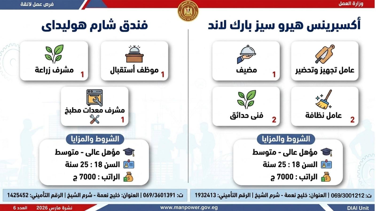 طريقك نحو المستقبل.. كيف تقتنص نصيبك من 4435 فرصة عمل أطلقتها وزارة العمل في 7 محافظات؟