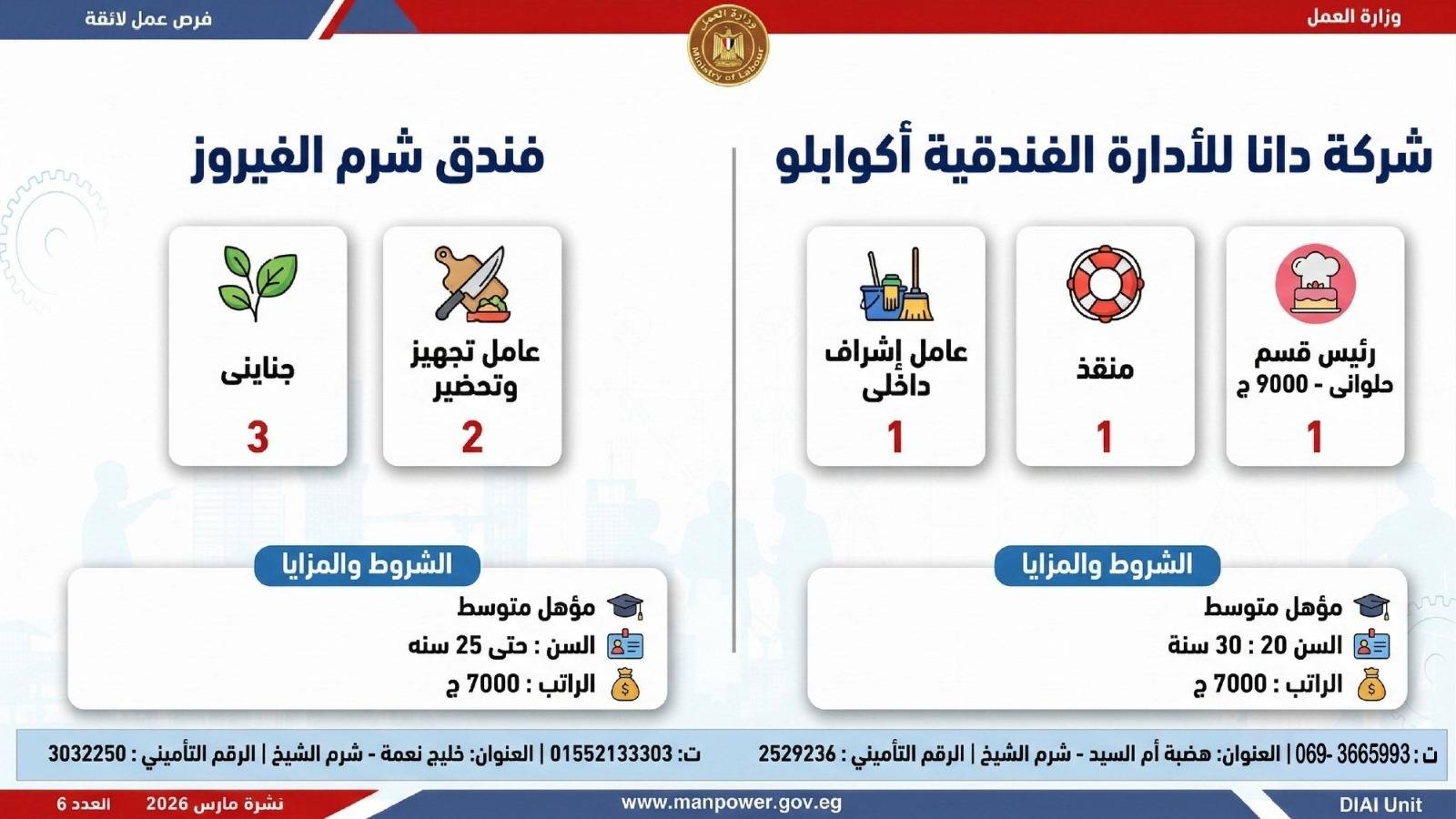 طريقك نحو المستقبل.. كيف تقتنص نصيبك من 4435 فرصة عمل أطلقتها وزارة العمل في 7 محافظات؟