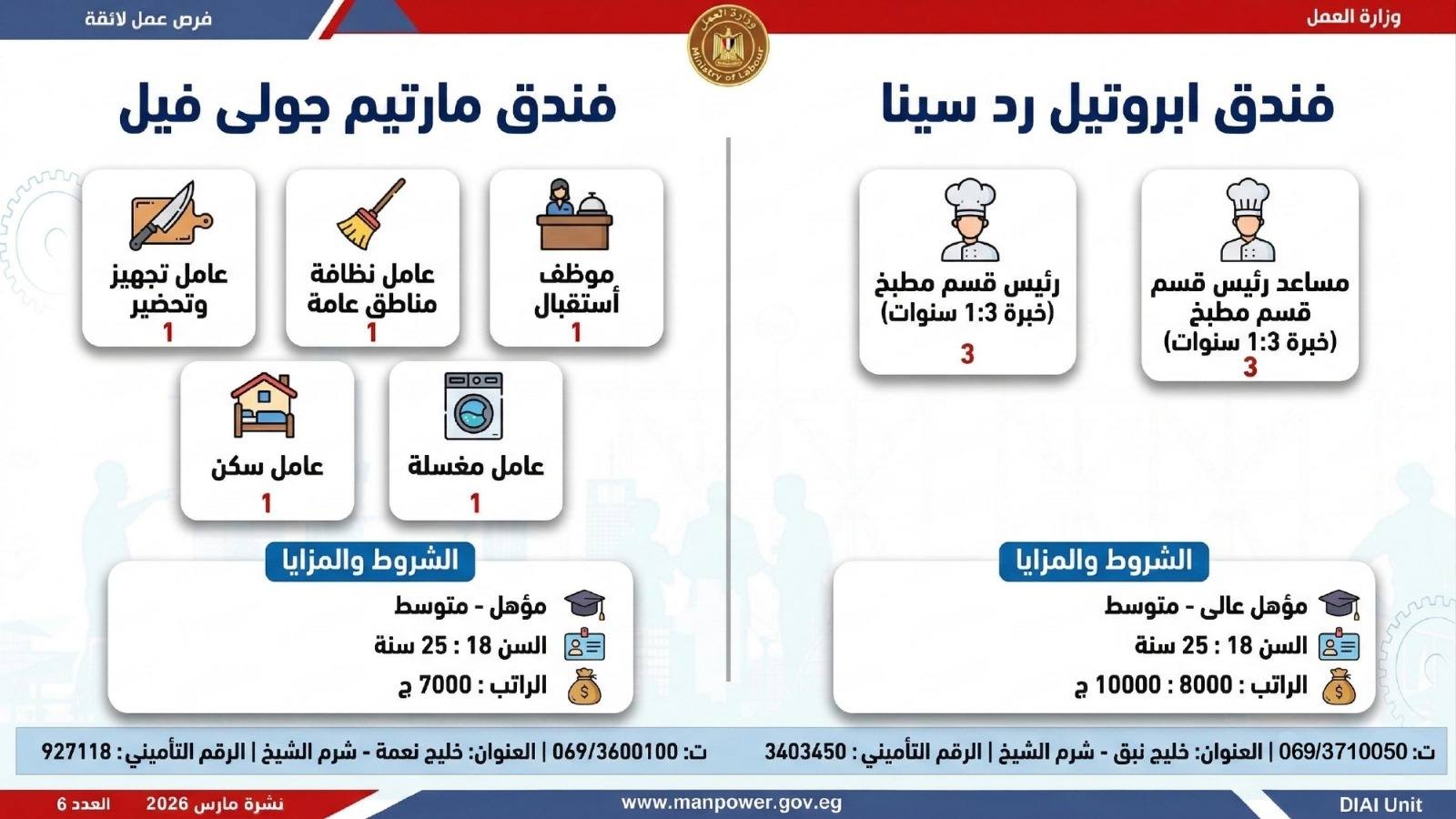 طريقك نحو المستقبل.. كيف تقتنص نصيبك من 4435 فرصة عمل أطلقتها وزارة العمل في 7 محافظات؟