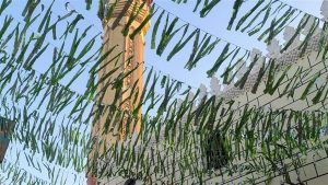 النهاردة كام رمضان 2026 في مصر، النافذة