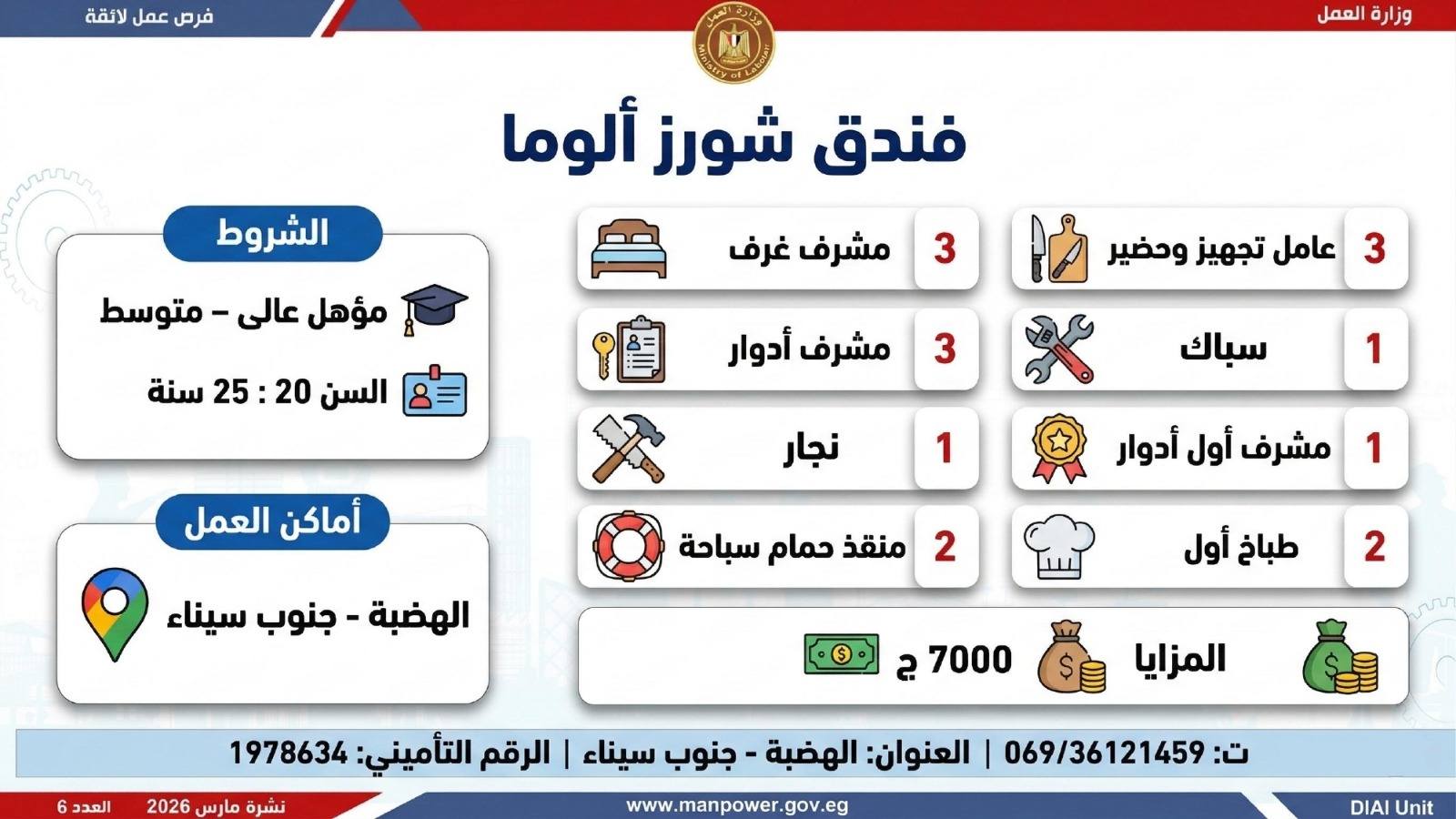 طريقك نحو المستقبل.. كيف تقتنص نصيبك من 4435 فرصة عمل أطلقتها وزارة العمل في 7 محافظات؟