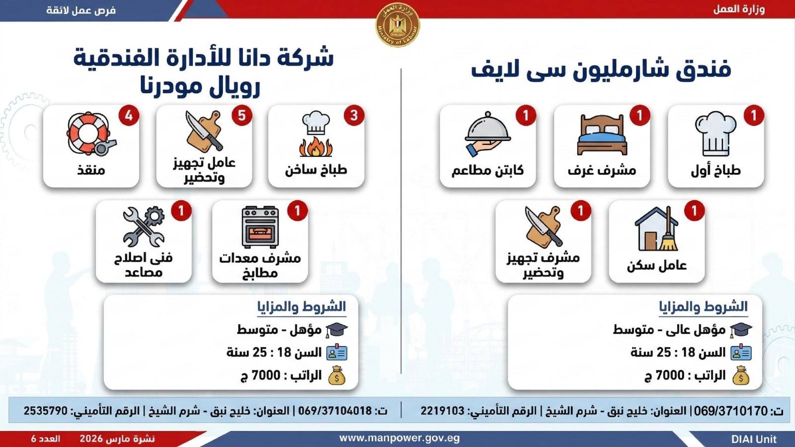 طريقك نحو المستقبل.. كيف تقتنص نصيبك من 4435 فرصة عمل أطلقتها وزارة العمل في 7 محافظات؟