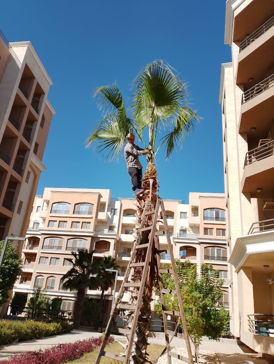 شاهد بالصور.. انطلاق حجز شقق R3 بالعاصمة الإدارية للموظفين اليوم السبت (عاجل) 8 شاهد بالصور.. انطلاق حجز شقق R3 بالعاصمة الإدارية للموظفين اليوم السبت (عاجل)