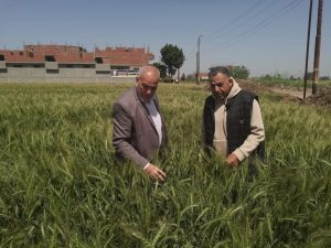 حملات وزارة الزراعة، النافذة