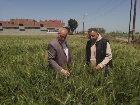 حملات وزارة الزراعة، النافذة