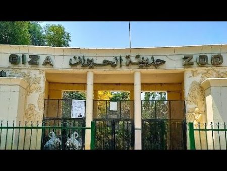 حديقة الحيوان، النافذة